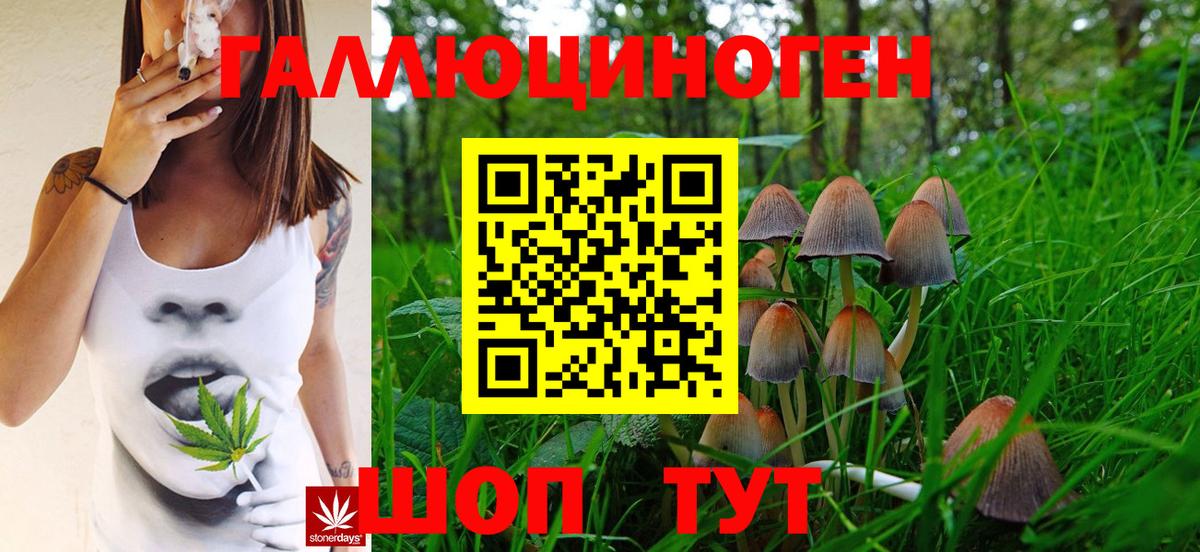 Псилоцибиновые грибы ЛСД Биробиджан