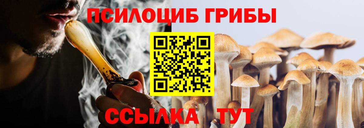 Галлюциногенные грибы Cubensis  Вход с VPN  Биробиджан 